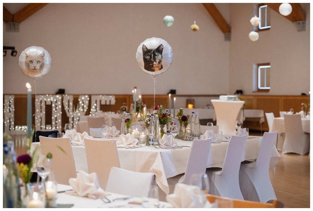 Katzen auf einer Hochzeit
